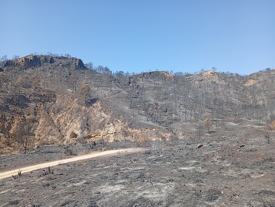 File:Incendio Los Gallardos 04.jpg