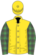 Yellow, mcalpine tartan sleeves