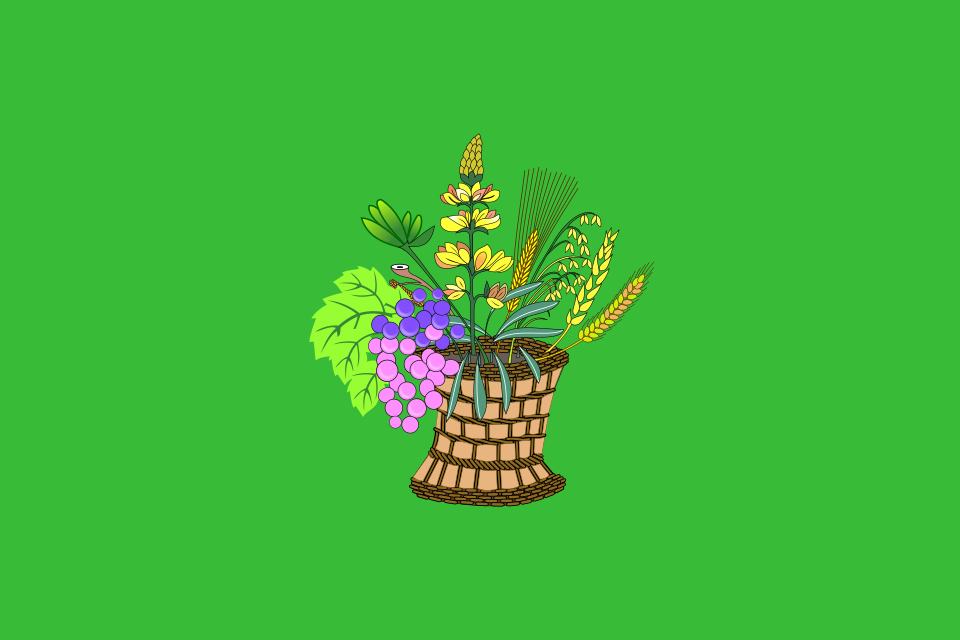 File:POL gmina Bełchatów flag.svg