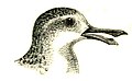 Thumbnail for version as of 03:14, 8 October 2010