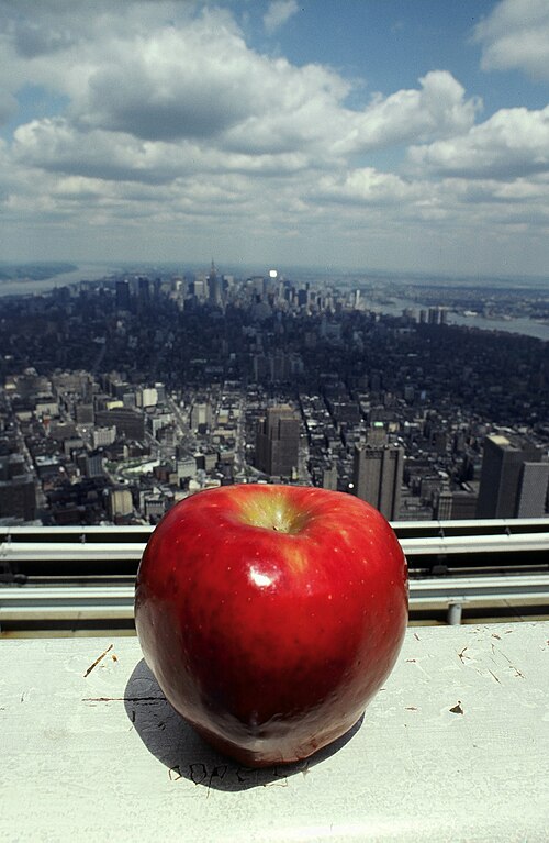 File:Bigapple.jpg