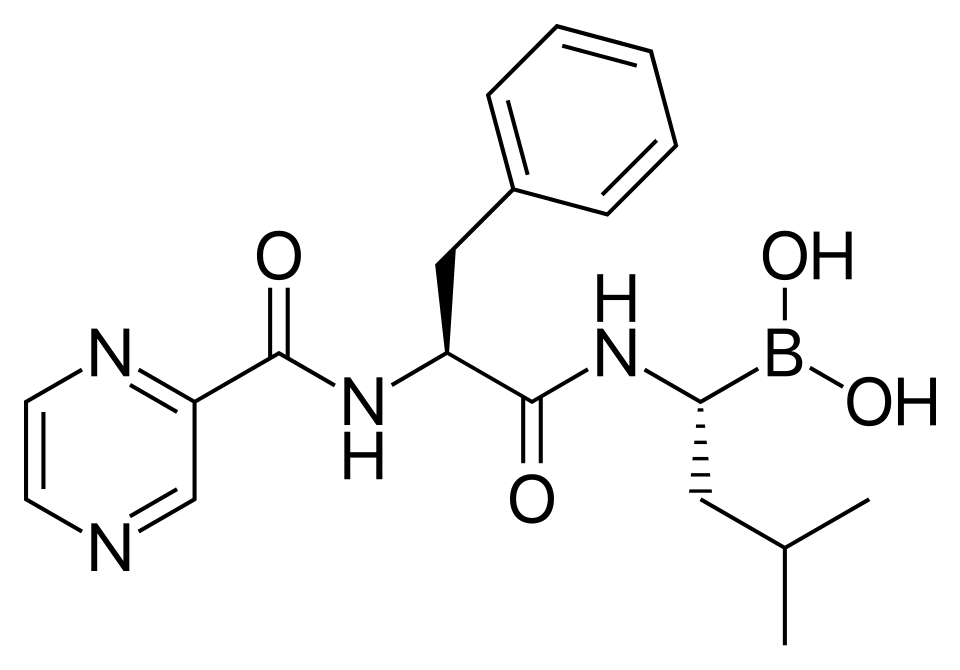 File:Bortezomib.svg