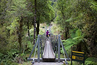Bridge over Clarke Creek on the Croesus Track