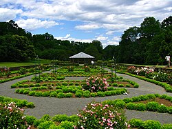 The rose parterre at Deep Cut Gardens, a public botanical gardens in Middletown which was formerly the estate of mobster Vito Genovese