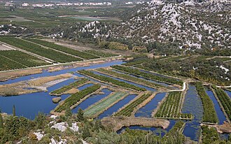 Plantations in the fertile Neretva valley
