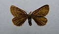 Thumbnail for version as of 19:28, 7 February 2010