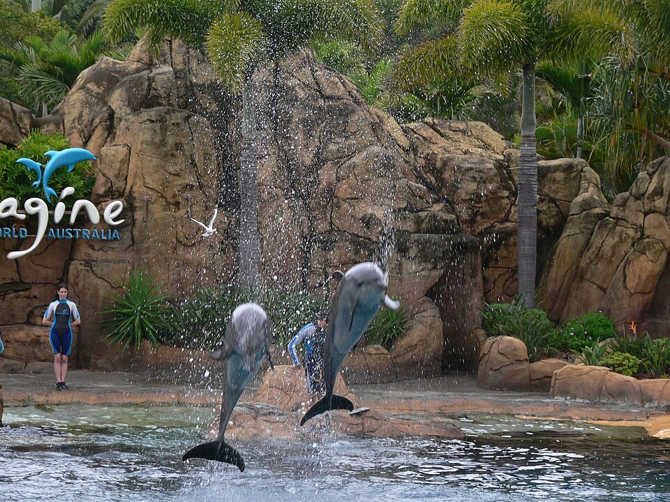 File:Imagine at Sea World.jpg