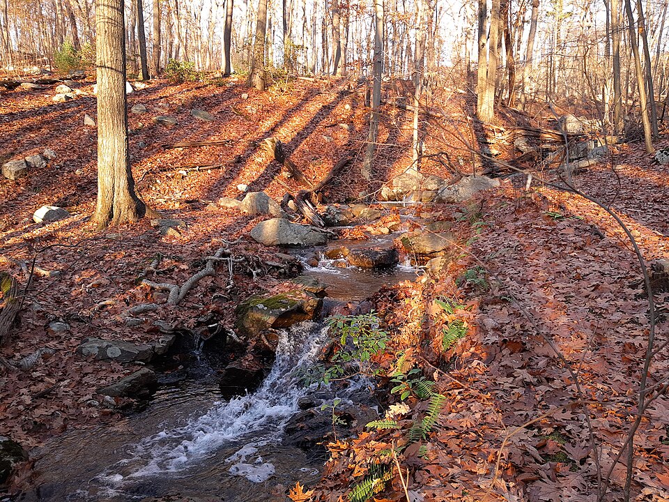File:Manitoga creek.jpg