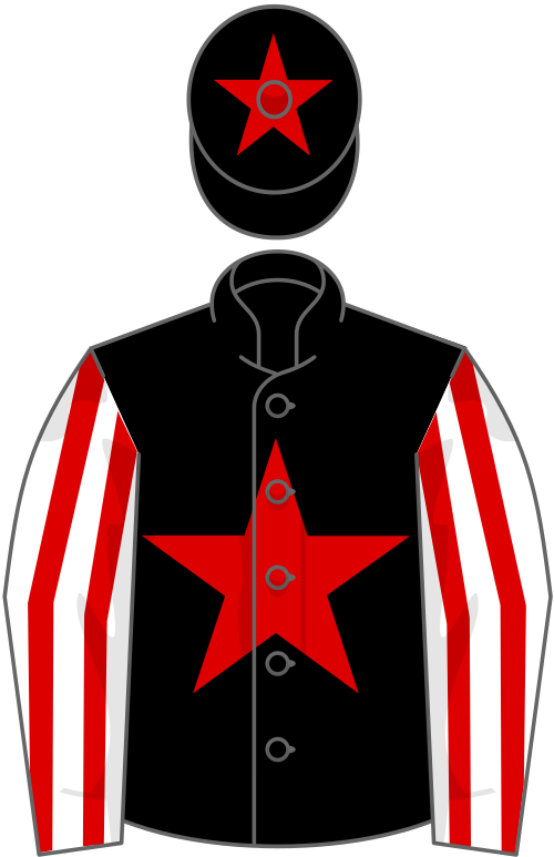 File:Owner My Racing Manager Friends.svg