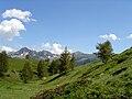 Vallon de Mollières, Mercantour National Park in the Alpes-Maritimes