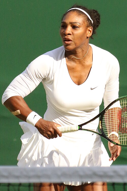 File:Williams S. WM16 (20) (28339693721).jpg
