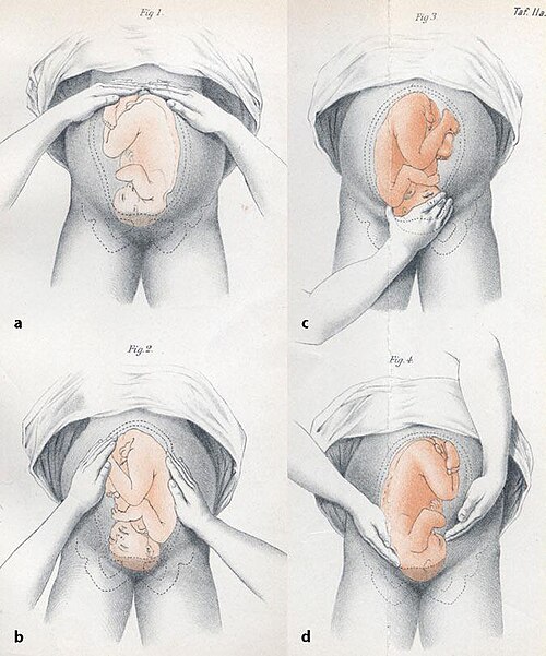 File:Handgriffe.JPG