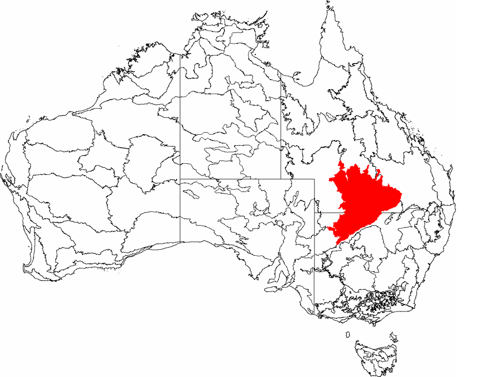 File:IBRA 6.1 Mulga Lands.png
