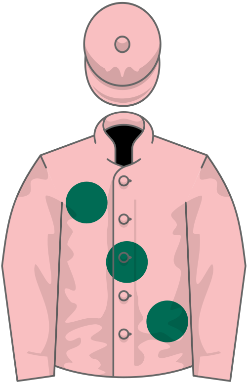 File:Owner F Guidotti.svg