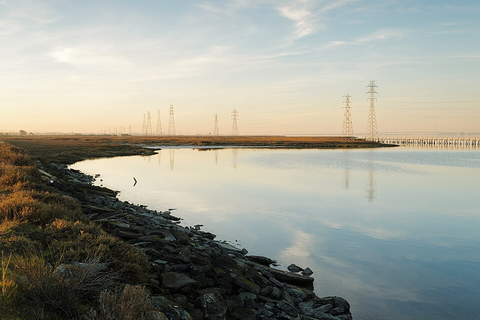 File:Palo Alto Baylands January 2013 005.jpg