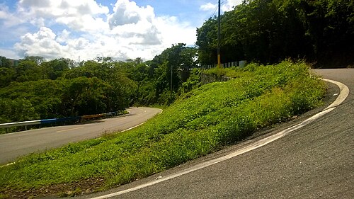Puerto Rico Highway 14 between Asomante and Algarrobo