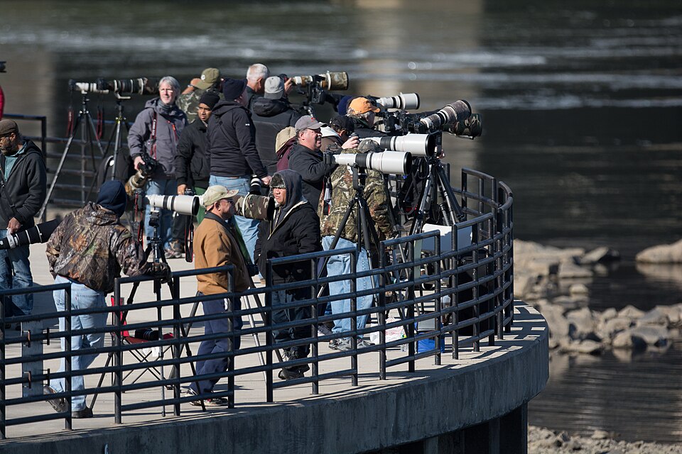 File:Conowingo dam shooters fishing pier (14106368940).jpg