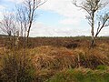 Thumbnail for version as of 01:09, 20 April 2016
