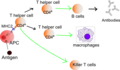 Thumbnail for version as of 06:34, 29 January 2008