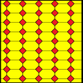 int .png