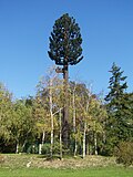 Thumbnail for version as of 00:32, 17 October 2006