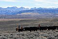 Image 17Green River valley (from Wyoming)