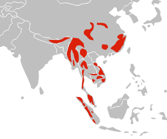 File:Distribution map of Asian Golden Cat.svg