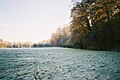Bisham Woods