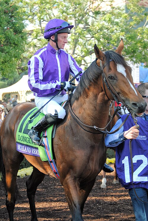 File:HighlandReel-2016BCTurf-2.jpg