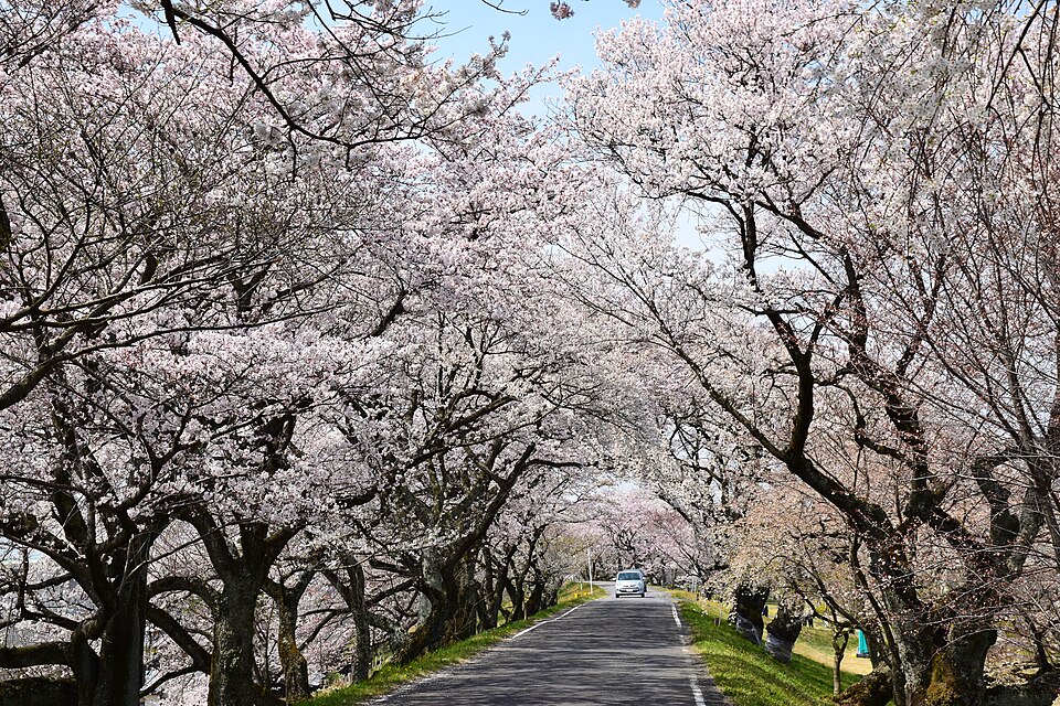 File:Kisogawazutsumi.JPG