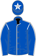 Royal blue, white seams, royal blue cap, white star