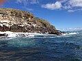 Pennicott, Bruny Island