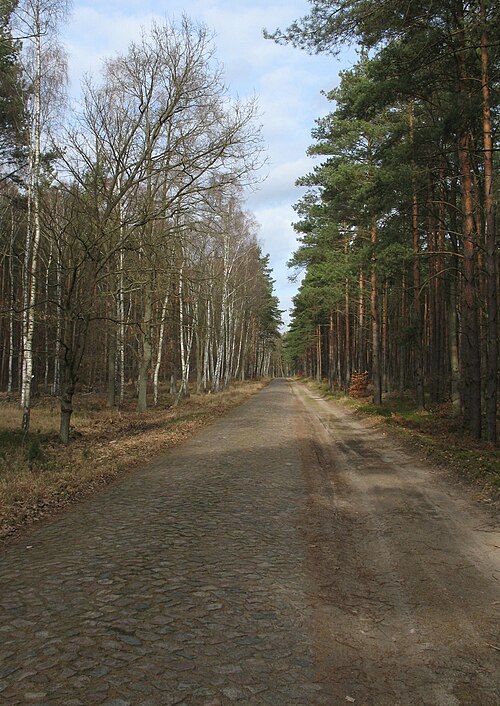 File:Schorfheide Schluft street.jpg