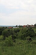 Kotesica - panorama