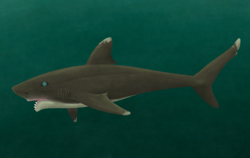 Toxoprion lecontei (inaccurate teeth and implausible body)