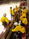 Hockey game:  Hamline Law School Res Ipsa at UMN Law Fighing Mondales