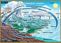 русский • Russian