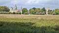 Three fast-growing 'Wingham' on clay soil (to right of Merton College windows), Christ Church Meadow, Oxford (2025)