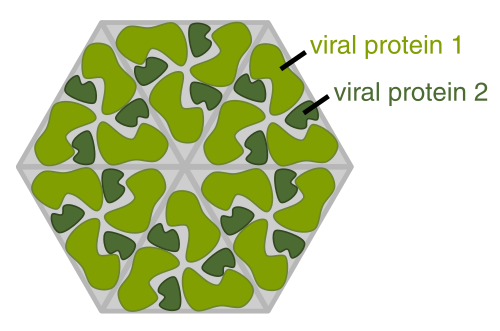 File:Hexon.svg
