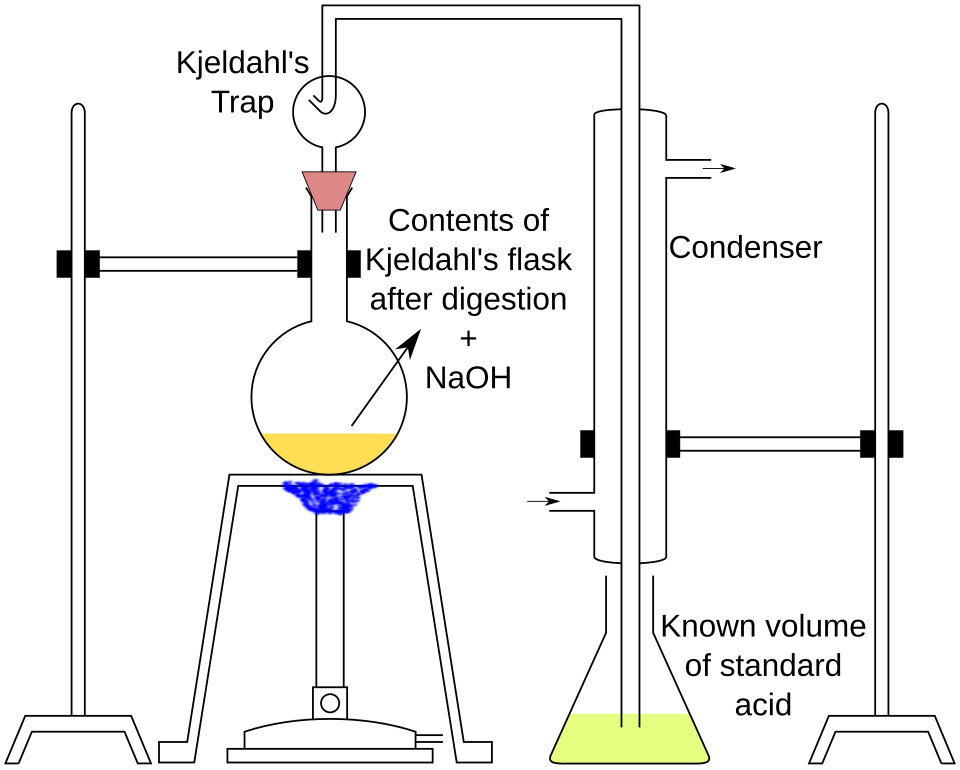 File:Kjeldahl's distillation.svg