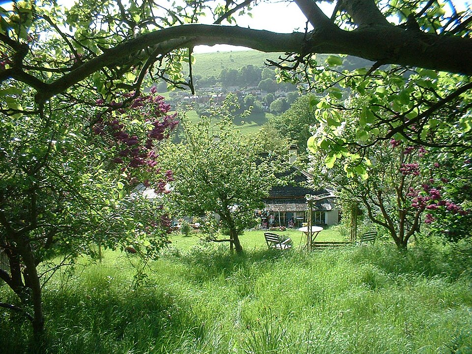 File:Orchard of Celestianpower.JPG