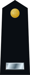 File:US Marine O2 shoulderboard dress.svg