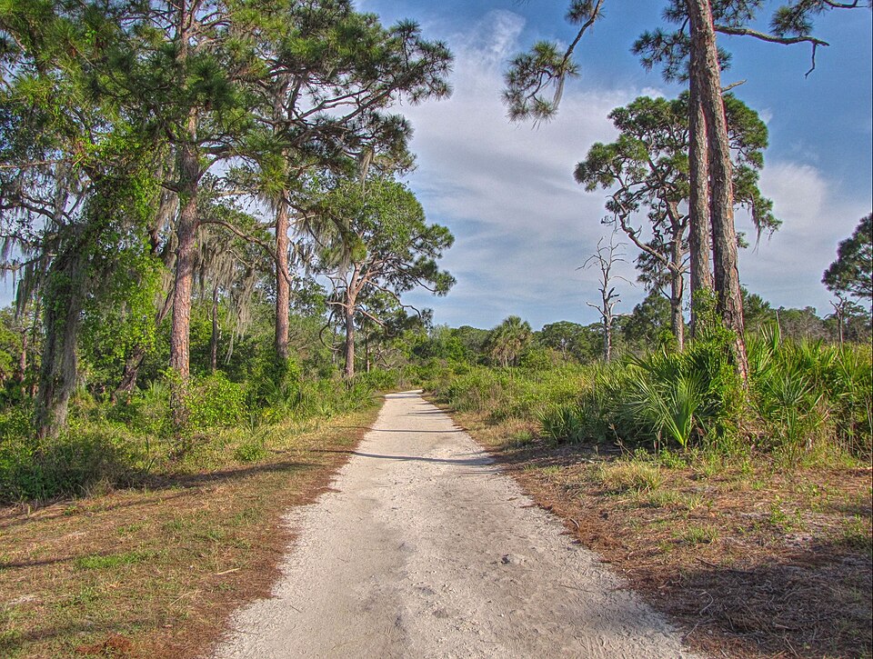 File:Boyd Hill Nature Preserve.jpg