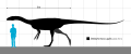 Thumbnail for version as of 18:00, 31 May 2021
