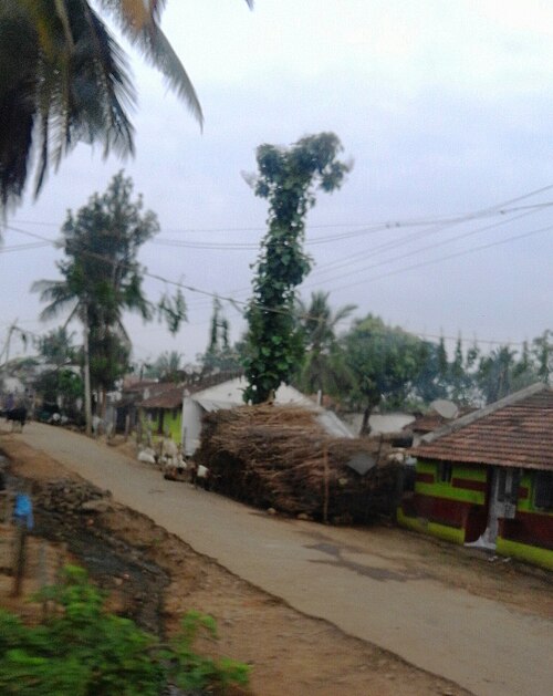 File:Krishnarajapura.3.jpg