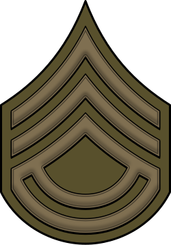 File:WW1-BattSgtMaj.svg