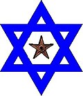 The Jewish Barnstar