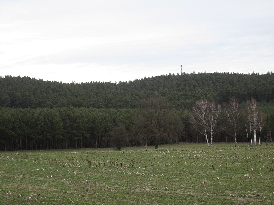 File:Dubrower Berge aus SW IMG 0803.JPG