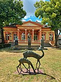 Two chamois, National Library, Sombor