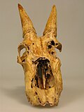 Thumbnail for version as of 06:26, 15 March 2011